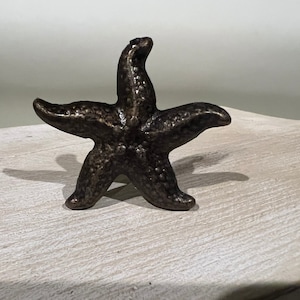 May include: A dark brown metal starfish ornament. The starfish has a textured surface and is a decorative accent for a home.