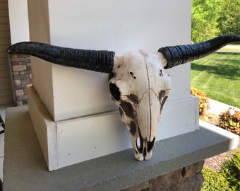 Cow Skull, Cow Head, Western Decor, Home and Garden Decor, Wall Decor, Cow Decor, Cow Wall Decor