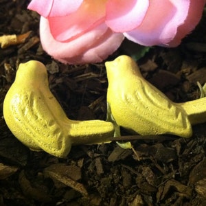 May include: Two yellow ceramic bird figurines with a textured finish. The birds are facing each other and are sitting on a bed of brown mulch.