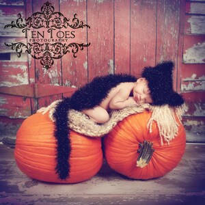 May include: A newborn baby dressed as a black cat is sleeping on two orange pumpkins. The baby is wearing a black fuzzy hat and a black fuzzy scarf. The pumpkins are on a wooden surface.