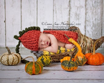 Pumpkin Patch Cuddle Critter Cape Set Newborn Photography Prop