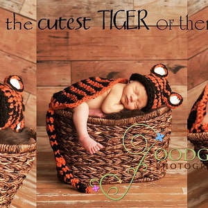 May include: Three babies dressed in orange and black tiger costumes are sleeping in wicker baskets. The text "Who's the cutest TIGER of them all?" is above the baskets.