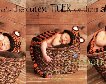 Instant Download Crochet Pattern - No. 17 - Tiger- Cuddle Critter Cape Set  - Newborn Photography Prop