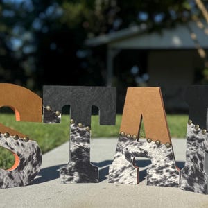 May include: Wooden letters spelling "STAR" with a cowhide pattern, black, and brown accents. The letters are decorated with small gold-colored studs. The background is a blurred outdoor scene.