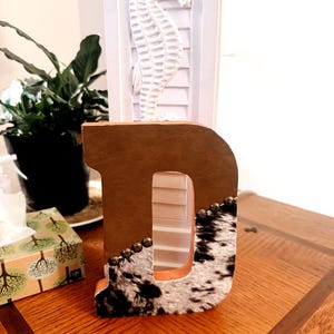 May include: A decorative wooden letter "D" with a brown leather-like front and cowhide pattern on the lower right. The letter is adorned with small, round studs. A white seahorse sculpture sits atop a white shutter-style background.