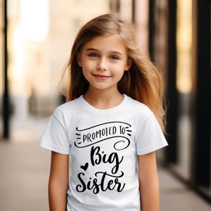 Youth Promoted to Big Sister Shirt, Baby Announcement Tee, Big Sister Gift, Big Sister, Big Sister Tee, Gift from Sister