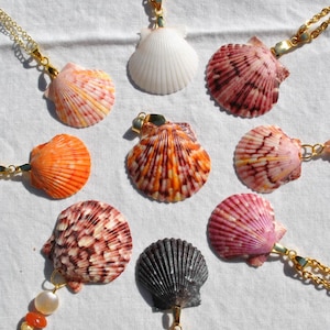 Könnte beinhalten: Eine Sammlung von Muschelanhängern mit goldfarbenen Ketten. Die Muscheln haben verschiedene Farben, darunter Weiß, Orange, Rosa und Dunkelgrau. Jede Muschel hat einzigartige natürliche Muster und Texturen. Die Anhänger sind auf einer weißen Oberfläche angeordnet.