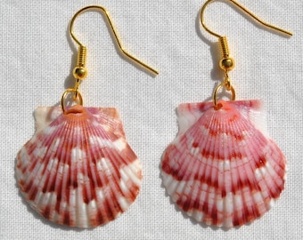 Handmade Real Florida Shell Dangle Earrings (Scallop Seashell - Siesta Key Beach Sarasota Florida)
