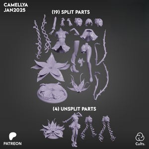 May include: A collection of 3D-printed model parts in a light purple hue, including a flower, a figure, and various other components. The image includes the text "CAMELLYA JAN2025", "(19) SPLIT PARTS", and "(4) UNSPLIT PARTS". The Patreon and Cults logos are also visible.