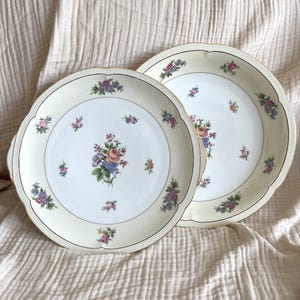 Vintage Limoges Dinner Plates – Set of 2 – Charles Ahrenfeldt, France