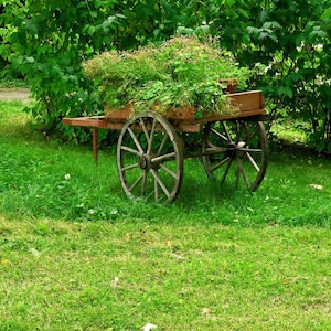 Green vintage antique wagons