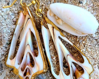 Shell earrings with gold filled hooks