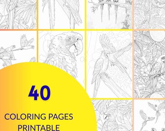 Ara zum Ausmalen: tropische Vogel Designs für Erwachsene & Kinder (PDF Download)