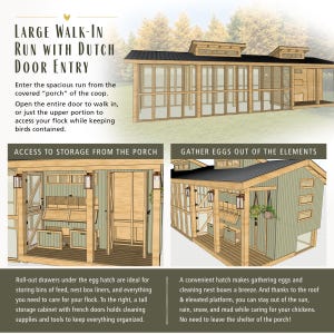 May include: A large wooden chicken coop featuring a walk-in run with a Dutch door entry, a covered porch area, roll-out storage drawers, and an egg collection hatch. The structure includes a dark roof, light green siding, and interior lighting.