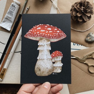 Paddenstoelen // Wenskaart