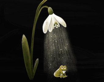 Snowdrop & Frog // Signed A4 print