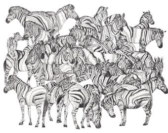 Zebras // Signed A4 print