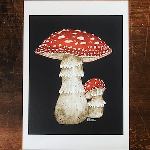 Toadstools // A5 Print image 1