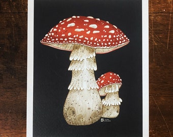 Toadstools  // A5 Print