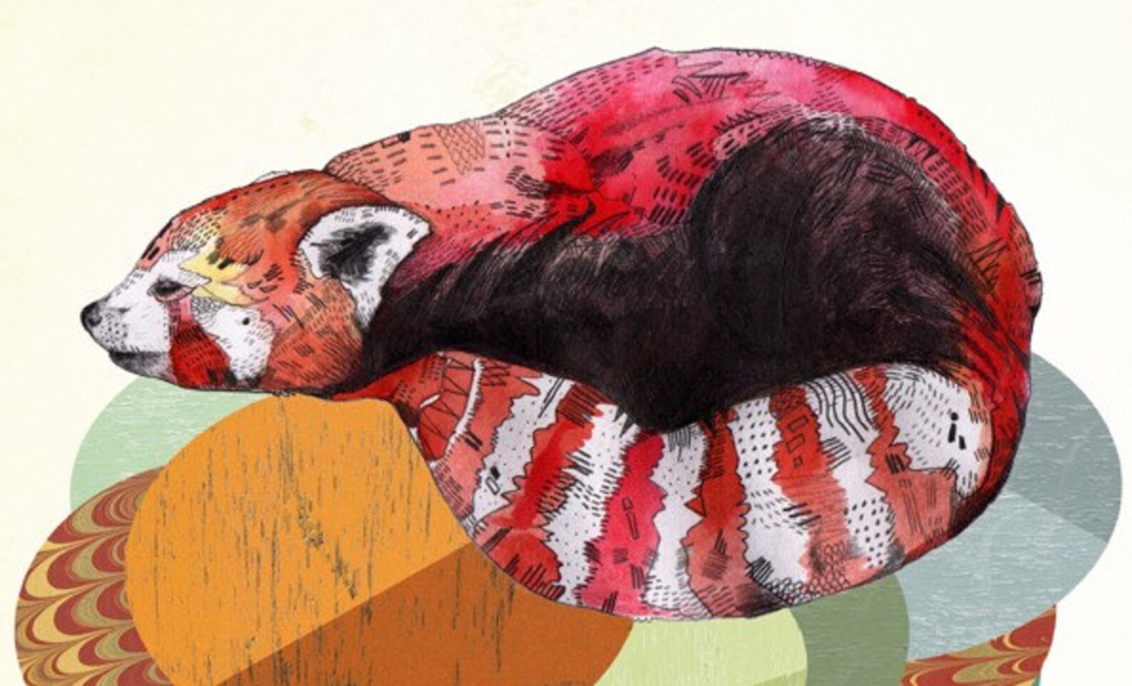 Red Panda // Signed A5 Print - Etsy