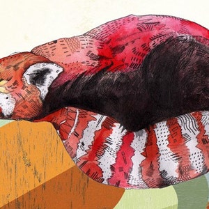 Red Panda //  Signed A5 Print