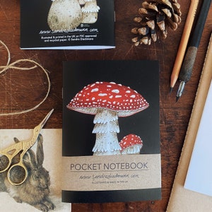 Notebook, Jotter, Mini Sketchbook | Toadstools