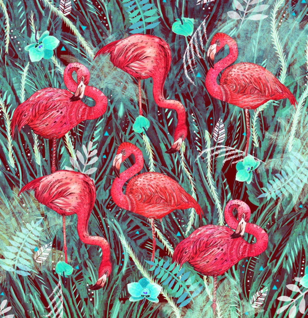 Flamingos // Signed A3 Print - Etsy UK