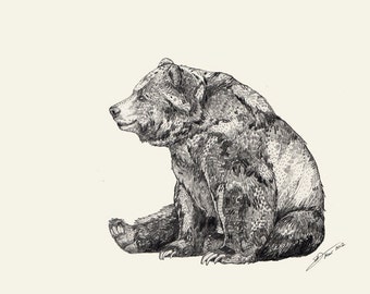 BEAR // Signed A3 print