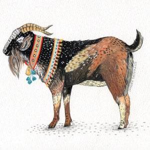 Peut inclure: Une illustration à l'aquarelle d'une chèvre brune et noire avec un collier à motifs colorés et des clochettes. La chèvre est debout sur un fond blanc.