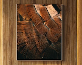 Op de afbeelding: Geraamde print met een gedetailleerde close-up van bruine en bruin-beige veren. De afbeelding benadrukt de textuur en fijne structuren van de veren. Het kunstwerk staat tegen een houten achtergrond, wat een natuurlijk gevoel creëert.