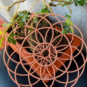 Tensor Lotus of Life (21cm), Seed of Life Tensor, Flower Of Life, Sacred Cubit, 144Hz Frequency, Large Size, Big Lotus of Life, Tensorviet