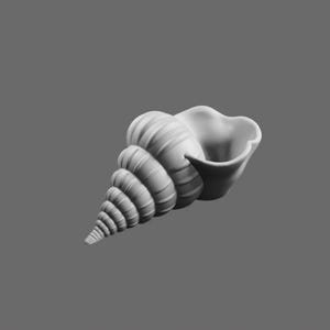 Shell STL File – Realistic Sea Shell 3D Printable Model - Etsy