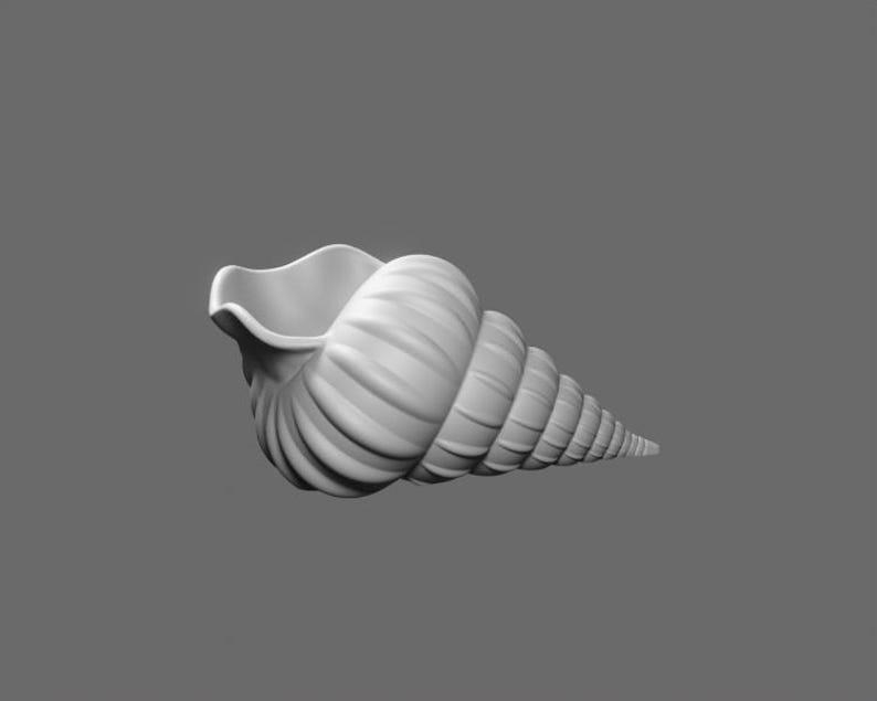Shell STL File – Realistic Sea Shell 3D Printable Model - Etsy