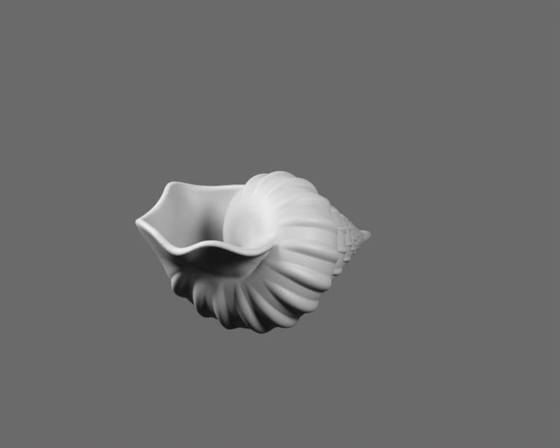 Shell STL File – Realistic Sea Shell 3D Printable Model - Etsy