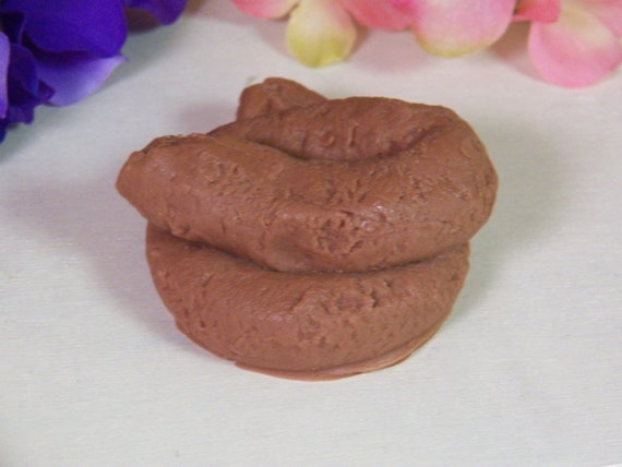 Poop Soap Poop Soap, Poo Soap, Prank Soap, Gag Soap Stocking Stuffer Funny  Soap