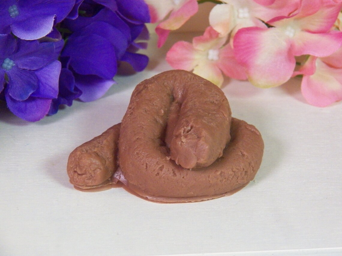Oh poo poopie soap poo gag gift funny soap doggy do fake poop Etsy