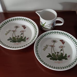 May include: Two white ceramic plates and a small pitcher. The plates feature a botanical design with flowers, butterflies, and dragonflies, framed by a green leaf border. The pitcher has a floral design.