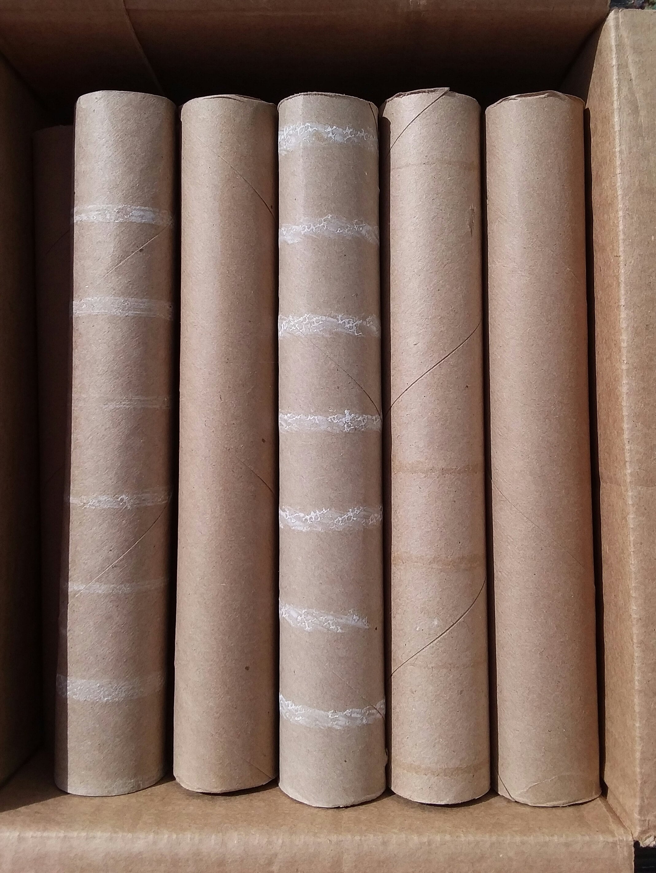 Empty Paper Towel Rolls set of 25 Etsy