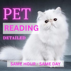 Leitura de animais de estimação no mesmo horário, leitura psíquica de animais de estimação, leitura de tarô para animais de estimação, leitura de tarô para todos os seus animais de estimação, meu animal de estimação me ama, meu animal de estimação se sente bem