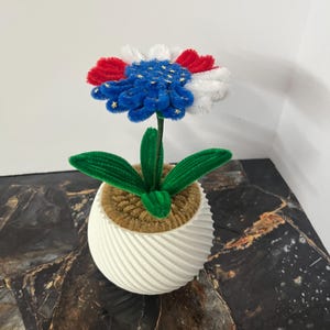 Peut inclure: Une composition florale artisanale dans un pot blanc côtelé. Les pétales de la fleur sont rouges, blancs et bleus, avec des étoiles dorées. Les feuilles et la tige vertes complètent le design patriotique. Le pot est rempli d'une matière brune texturée.