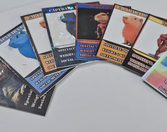 Capybara Trading Cards