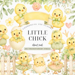 May include: A digital clipart collection featuring yellow chicks in various poses, some wearing green gingham outfits or emerging from cracked eggshells, surrounded by watercolour flowers, leaves, hearts, and wooden fences with the text LITTLE CHICK.