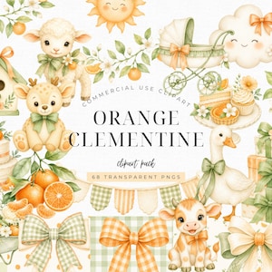 Little Cutie baby shower clipart, oranje clementine aquarel png, citrus baby shower graphics, fruit kwekerij uitnodigingsbundel