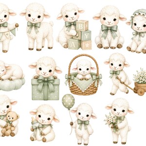 May include: A collection of illustrations featuring white lambs with sage green accents. The lambs are depicted in various poses, including holding a banner, sitting with alphabet blocks, wearing a bonnet, sleeping on a cloud, and pulling a wooden wagon.