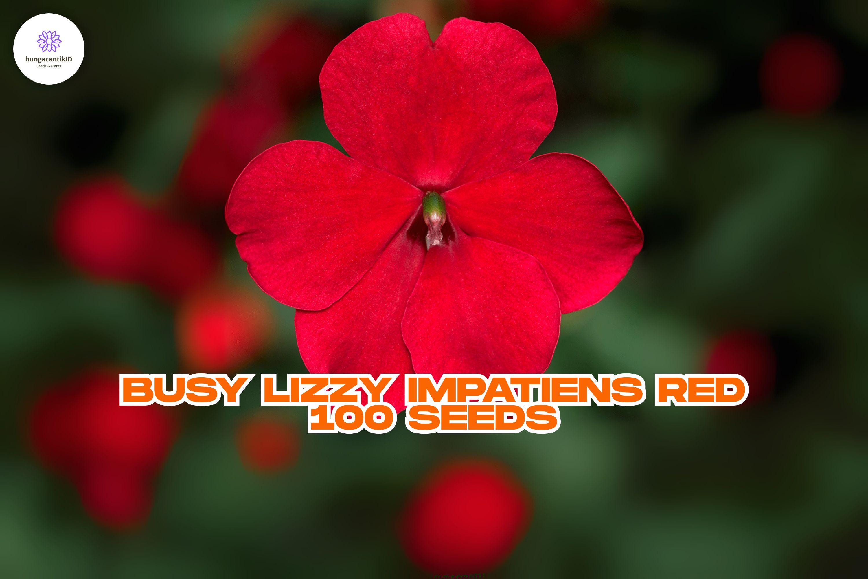 Busy Lizzy Impatiens Premium Red Seeds | 100 Non-gmo | Bright Shade Blooms  | Easy Annual | No CA Shipping | USA Seller - Etsy