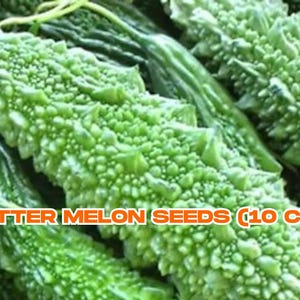 Bitter Melon Seeds (10 ct) | Momordica Charantia | Indian Thai Bitter Gourd | Organic Garden Heirloom, 2020 Homegrown