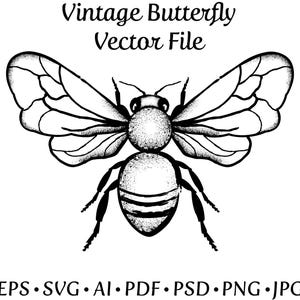 Vintage Butterfly Vector – SVG | EPS | PNG...