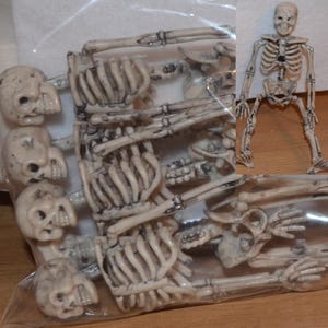Dollhouse Miniature Skeletons Lot of 6 White Resin for Haunted Dollhouses Halloween or Dressing