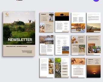 Digital product | Newsletter Template | NGO Impact Report Canva Design | Editable Report