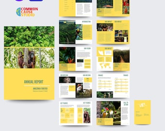 Annual NGO Report Template | Non-Profit | Editable Canva | Charity, Sustainability, Impact Report